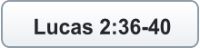 Lucas 2:36-40