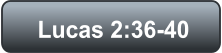 Lucas 2:36-40