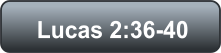 Lucas 2:36-40