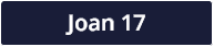 Joan 17