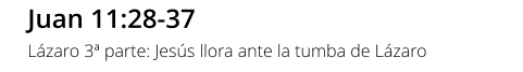 Juan 11:28-37 Lázaro 3ª parte: Jesús llora ante la tumba de Lázaro