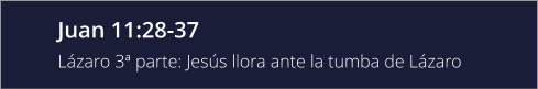 Juan 11:28-37 Lázaro 3ª parte: Jesús llora ante la tumba de Lázaro