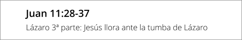 Juan 11:28-37 Lázaro 3ª parte: Jesús llora ante la tumba de Lázaro